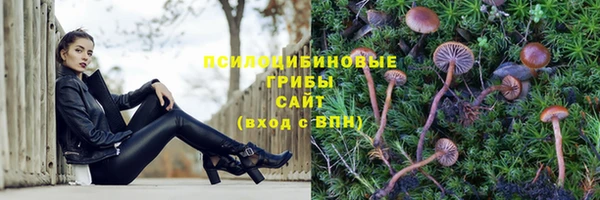 гашик Навашино